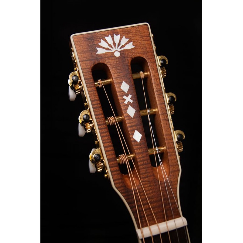 Washburn shop p55 koa